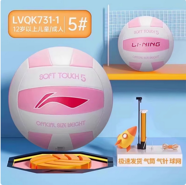 李宁中考专用排球5号初中生中学生女生体育训练考试硬标准气排球